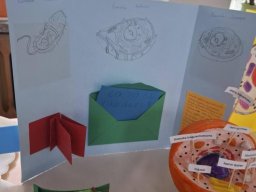 58858682213148876804391772159259814353020473n